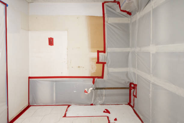 Best Mold-Related Health Consultation  in Montgomery, MN