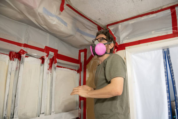 Trusted Montgomery, MN Mold Removal Experts