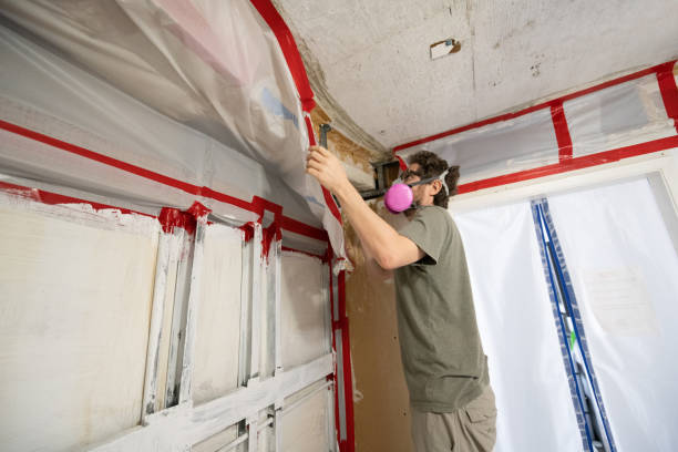 Best Asbestos and Lead Testing During Mold Inspection  in Montgomery, MN