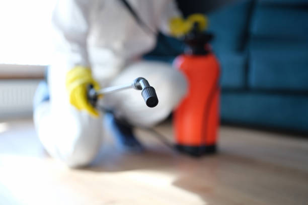 Forensic Mold Investigation in Montgomery, MN